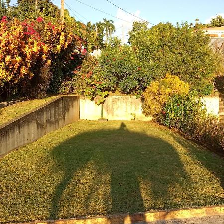 Charmant Appartement Verdoyant Le Morne-Vert 외부 사진